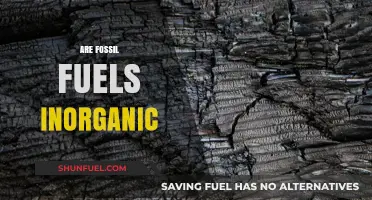 Fossil Fuels: Inorganic Energy Sources and Their Impact