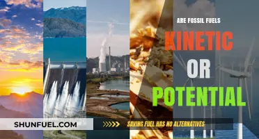 Fossil Fuels: Kinetic or Potential Energy Source?