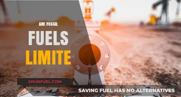 Fossil Fuels: Finite Resources, Infinite Problems