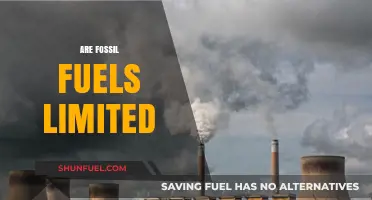Fossil Fuels: Finite Resources, Infinite Problems