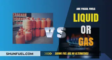 Fossil Fuels: Liquid, Gas, or Both?