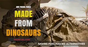 Fossil Fuels: Dinosaurs' Legacy or Misconception?