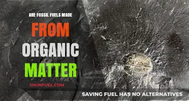 Organic Origins of Fossil Fuels: The Truth Unveiled