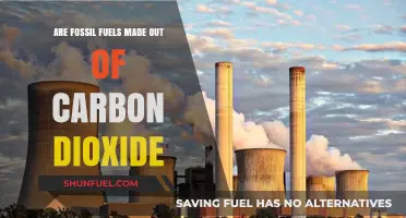 Fossil Fuels: Carbon Dioxide's Dark Transformation