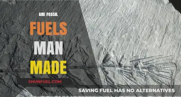 Fossil Fuels: Man-Made or Natural?