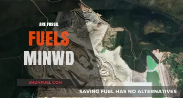 Fossil Fuels: Finite Resources, Infinite Problems