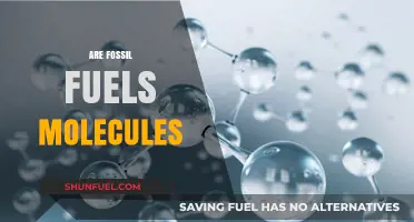 Fossil Fuels: Complex Molecules, Complex Problems