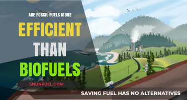 Fossil Fuels vs Biofuels: Which Energy Source Wins?