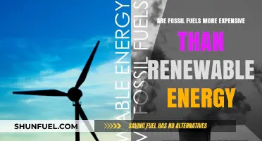 Fossil Fuels vs. Renewable Energy: The Cost War