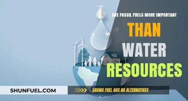 Fossil Fuels vs Water: Which Resource is More Vital?