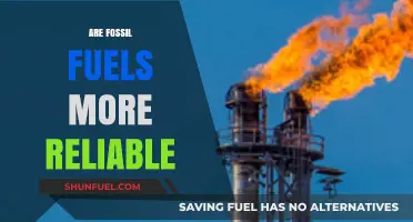 Fossil Fuels: Reliable or Risky?