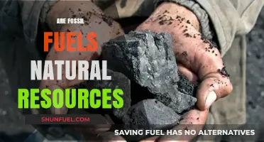 Fossil Fuels: Natural Resources or Environmental Disaster?