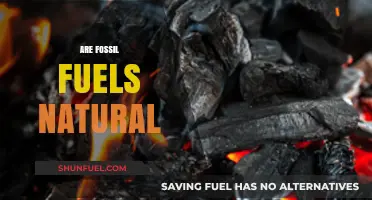 Fossil Fuels: Natural or Not?