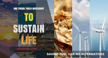 The Future of Fossil Fuels: Necessary or Not?