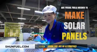 Solar Panels: Powering a Fossil Fuel-Free Future
