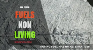 Fossil Fuels: Non-Living Energy Sources