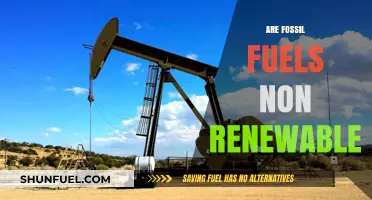 Fossil Fuels: Non-Renewable Energy Sources