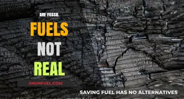 Fossil Fuels: Myth or Reality?