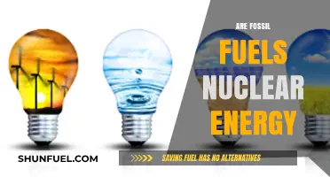 Fossil Fuels vs Nuclear Energy: Pros and Cons