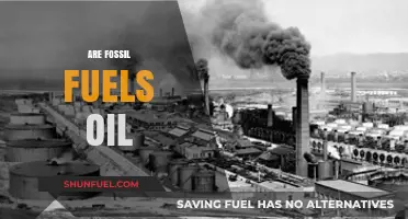 Fossil Fuels: Oil's Dark History