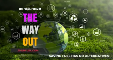 The End of Fossil Fuels: A Necessary Transition