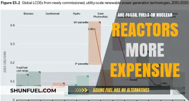 Fossil Fuels vs Nuclear Reactors: The Expense Battle
