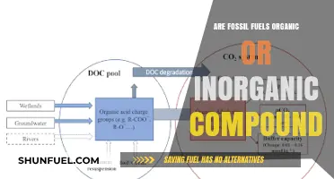 Fossil Fuels: Organic or Inorganic?
