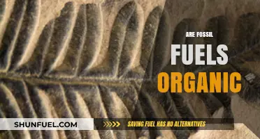 Fossil Fuels: Organic or Not?