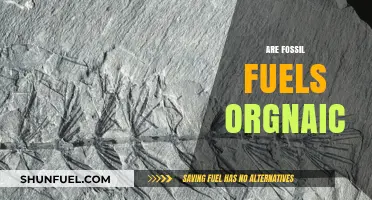 Fossil Fuels: Organic or Not?