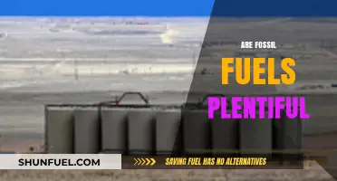 Fossil Fuels: Plentiful or Not?