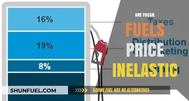 Fossil Fuels: Price Inelasticity and its Impact