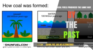 How Fossil Fuels Were Formed: A Historical Perspective
