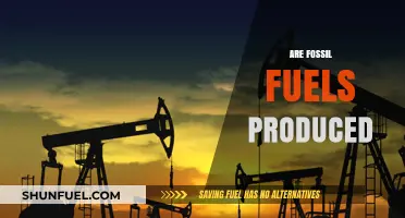 How Fossil Fuels Are Created: A Primer