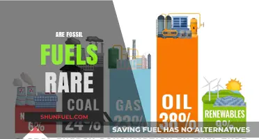 Fossil Fuels: Finite Resources or Abundant Energy?