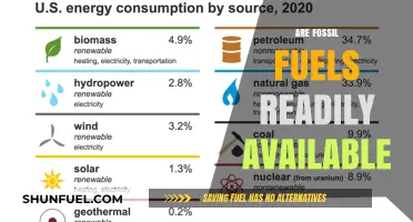 Fossil Fuels: Are They Truly Accessible?