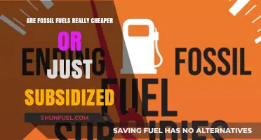 Fossil Fuels: Real Costs or Subsidized Cheaper Energy?