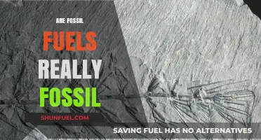 Fossil Fuels: Fossil or Fiction?