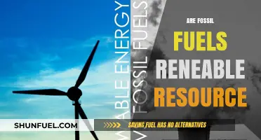 Fossil Fuels: Are They Renewable or Not?