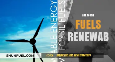 Fossil Fuels: Renewable or Not?