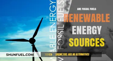 Fossil Fuels: Renewable or Not?
