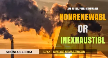 Fossil Fuels: Non-Renewable Energy Sources