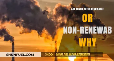 Fossil Fuels: Non-Renewable Energy Sources