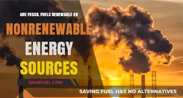 Fossil Fuels: Non-Renewable Energy Sources?
