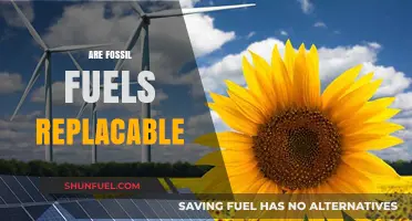 The Future of Energy: Are Fossil Fuels Replaceable?