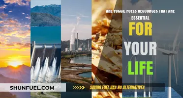Fossil Fuels: Essential Resources or Environmental Hazards?