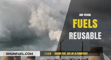 Fossil Fuels: Reusable or Not?