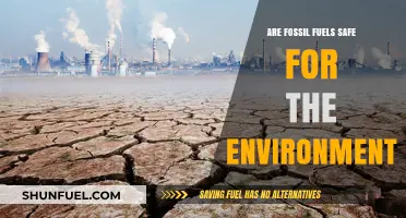 Fossil Fuels: Safe or Environmental Hazard?