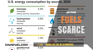 Fossil Fuels: Scarce, Finite, and Non-Renewable Resources