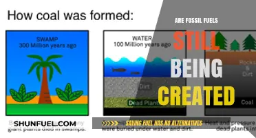 The Mystery of Fossil Fuel Origins