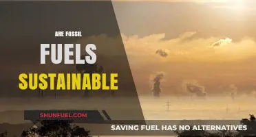 Fossil Fuels: Sustainable or Not?